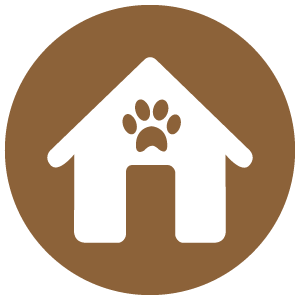 care advice icon