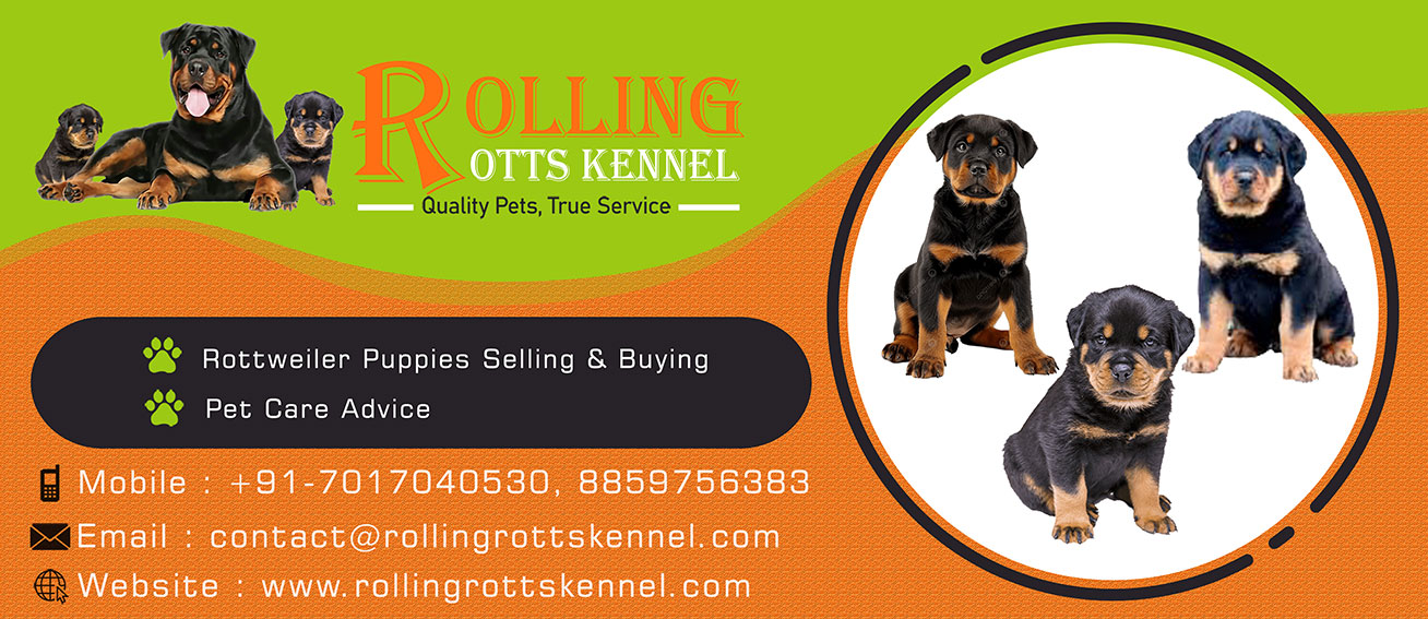 Rolling Rotts Banner